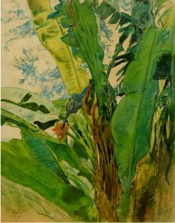 Е.Е. Лансере. Цветок банана. 1921